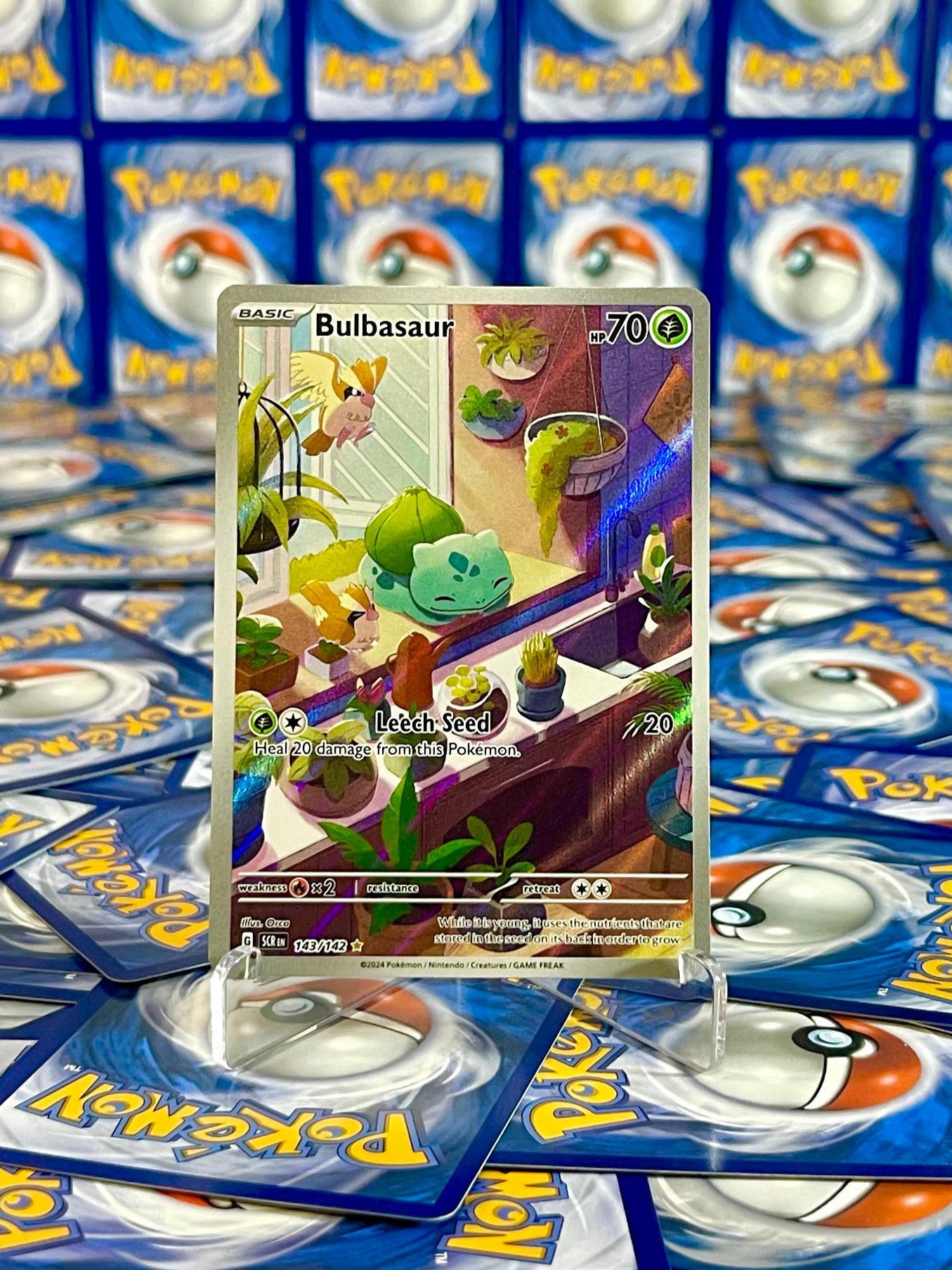Bulbasaur #143