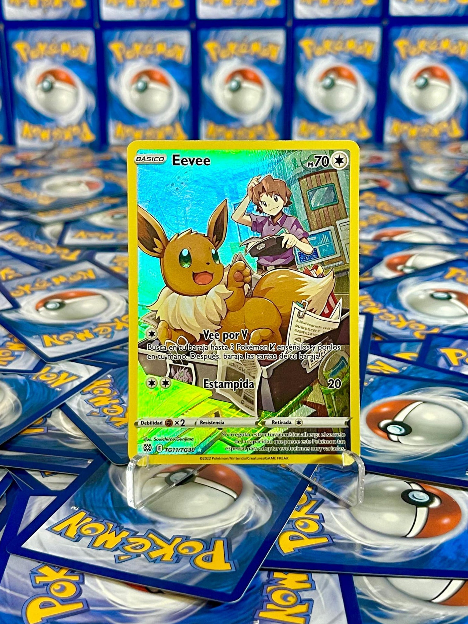 Eevee #TG11